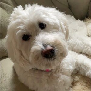 Meet your Posher, Jocelyn